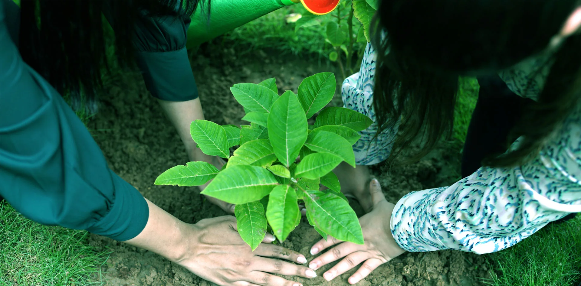 Our initiatives speak eloquently for people and the planet