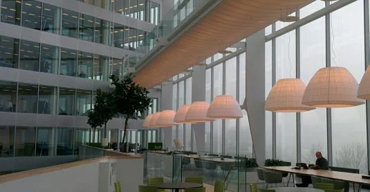 Regional Marketing Office