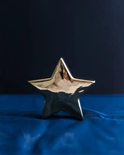 Awards and Recognition