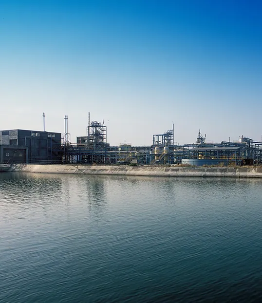 Modern Era: Expansion and Innovation